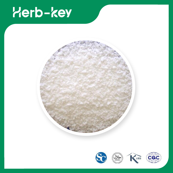 Acide stéarique (excipients médicinaux) &nbsp;