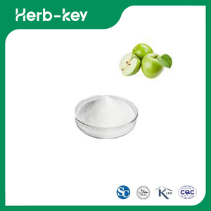 Poudre de phlorétine/Extrait de peau de pomme Phlorétine