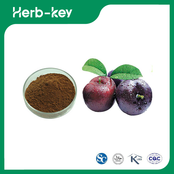 Poudre de prune noire