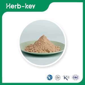 Poudre de Quinoa
