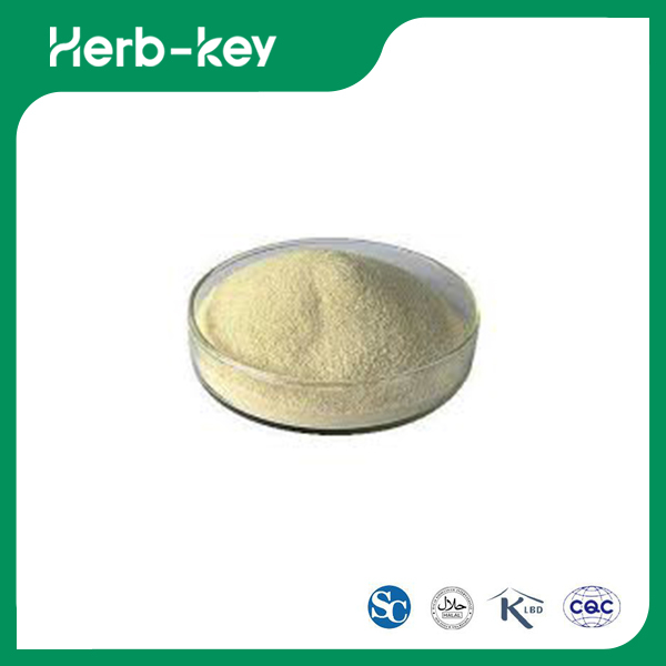 Alginate de sodium en vrac &nbsp;
