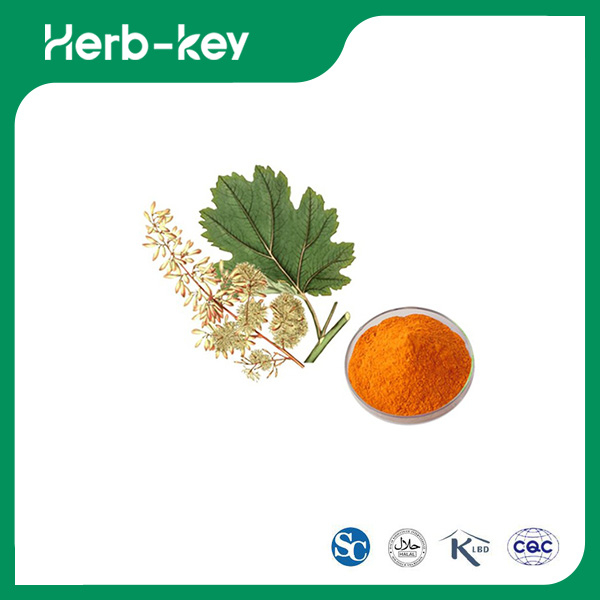 Extrait de Macleaya Cordata