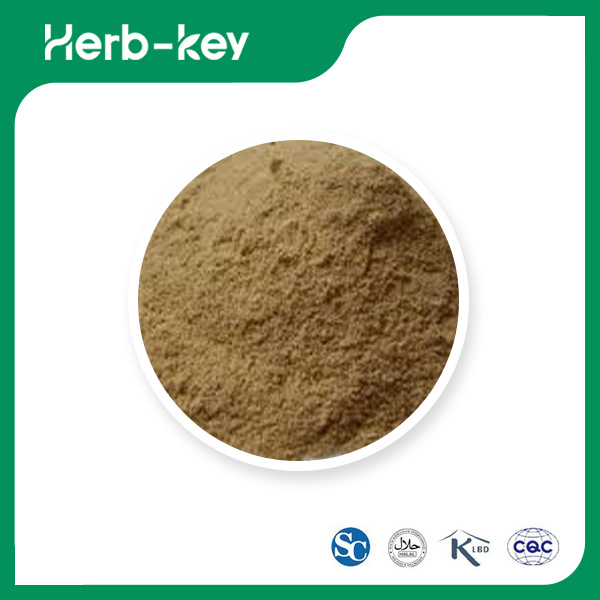 Chlorhydrate de bulbocapnine